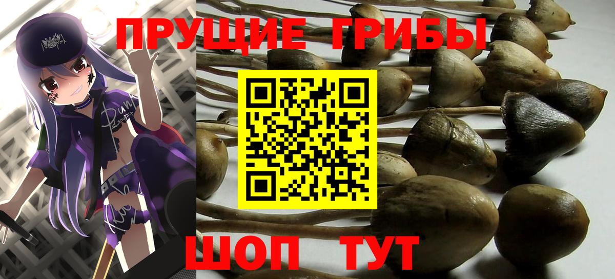 Ирбит  Галлюциногенные грибы мицелий  Вход с VPN 